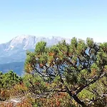 Apartman Near Lift & Glacier *