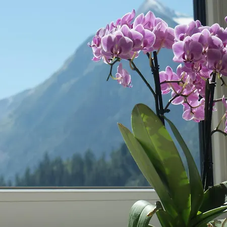 Apartment Apartment Kaprun Near Ski Lift & Glacier *