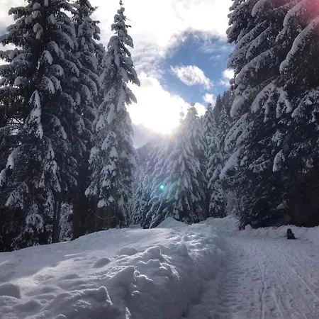 Near Lift & Glacier Appartement *