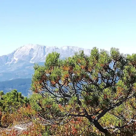 Appartement Near Lift & Glacier *