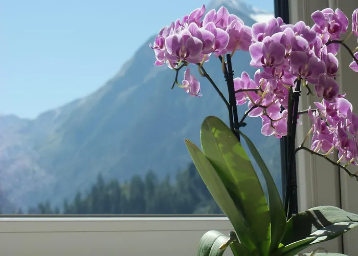 Apartament Near Lift & Glacier *