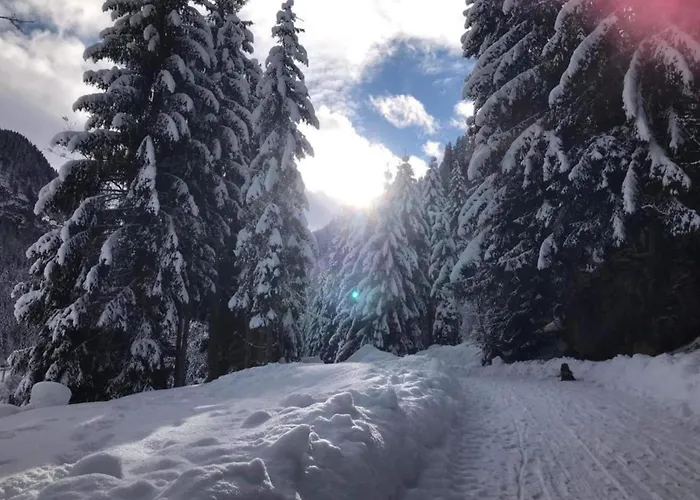 Near Lift & Glacier Daire *