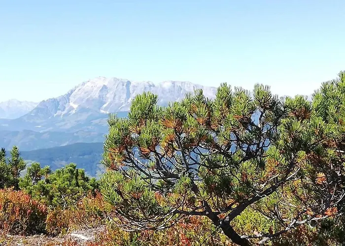 Διαμέρισμα Near Lift & Glacier *